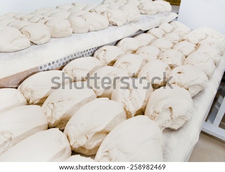 Raw pieces of bread dough before fermentation. Manufacturing process of spanish bread