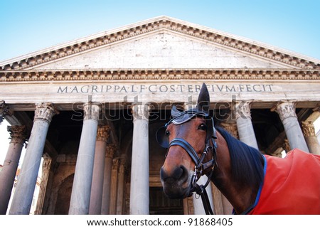 the pantheon in Rome Italy with an horse that looks at the camera in the foreground