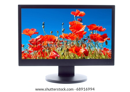 [Obrazek: stock-photo-poppies-field-on-tv-screen-68916994.jpg]
