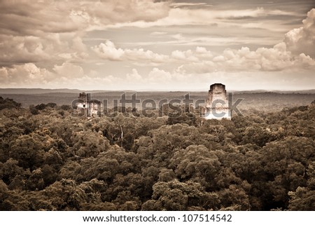 Tikal, Mayan ruins in Guatemala, seen from temple IV. Old picture look.
