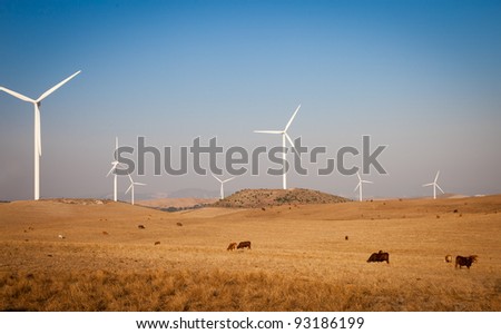 Wind turbines and bulls in Andalusia, Spain.