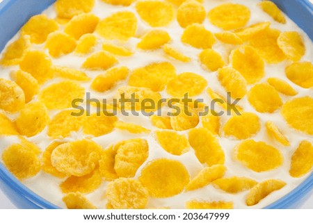 corn flakes and milk in bowl