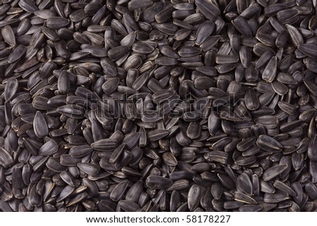 horizontal image of sunflower seeds