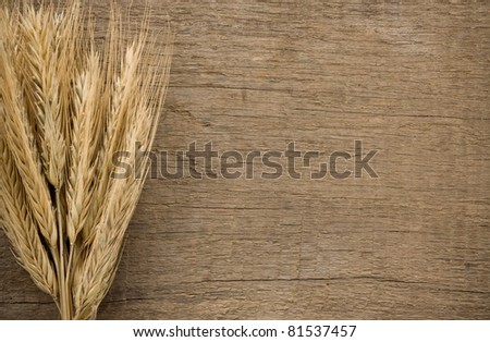 ears spike of wheat on wood texture background