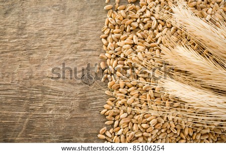 wheat grain and ear on wood texture background