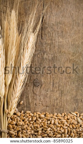 spike ear and wheat seed on wood texture background