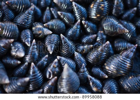 A cluster of live sea snails or shells. Great natural background or texture,