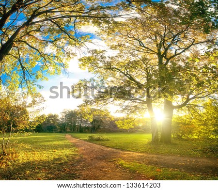 Autumn Park Natural Landscape