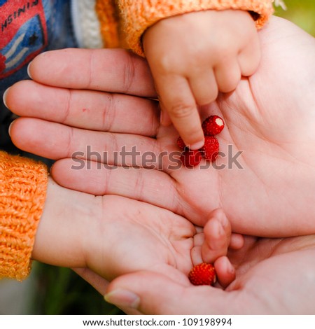 Child taking strawberry from father\'s hand