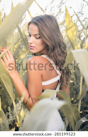 Young pretty lady posing in corn filed, close up portrait