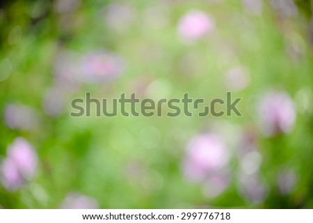Green and flowers blurred background sunlight