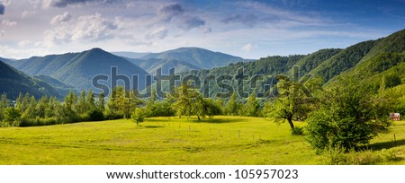 Beautiful sunny day is in mountain landscape. Carpathian, Ukraine.