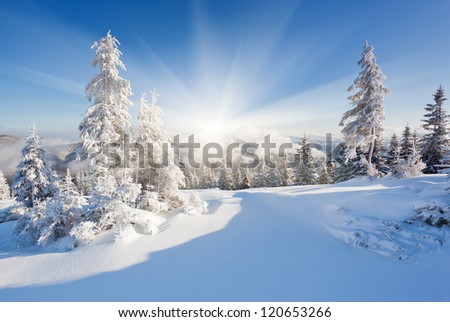 A Frosty And Sunny Day Is In Mountains