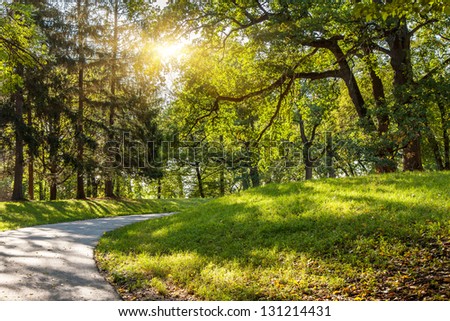 Sunlight in the green forest early morning. Dendro park Uman, Ukraine, Europe. Beauty world