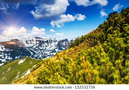 Beautiful sunny day is in mountain landscape. Carpathian, Ukraine, Europe. Beauty world.