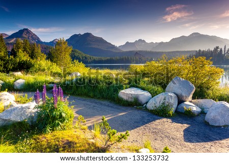 Mountain Lake In National Park High Tatra. Strbske Pleso, Slovakia, Europe. Beauty World.