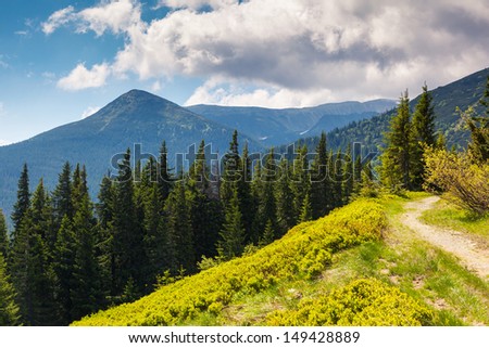 Beautiful sunny day is in mountain landscape. Carpathian, Ukraine, Europe. Beauty world.