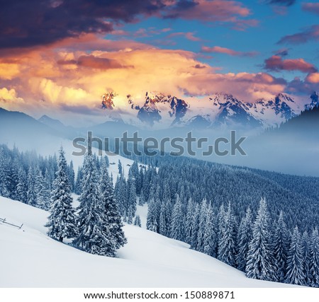 Fantastic Winter Landscape. Dramatic Overcast Sky. Carpathian, Ukraine, Europe. Beauty World.