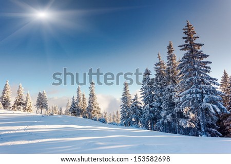Fantastic Winter Landscape. Blue Sky. Carpathian, Ukraine, Europe. Beauty World.
