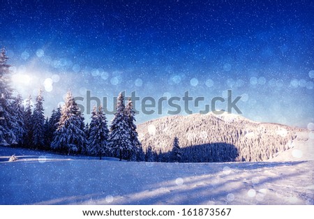 Fantastic winter landscape. Christmas abstract bokeh. Carpathian, Ukraine, Europe. Beauty world.
