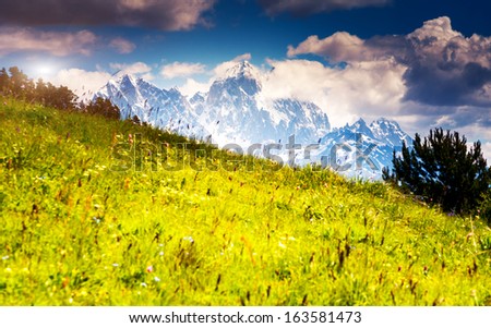 Beautiful view of alpine meadows at the foot of  Mt. Ushba. Upper Svaneti, Georgia, Europe. Caucasus mountains. Beauty world.