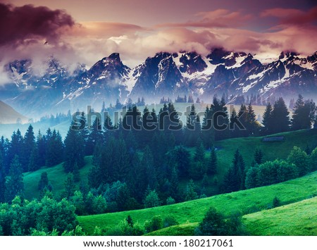 Beautiful view of alpine meadows. Creative collage. Beauty world.