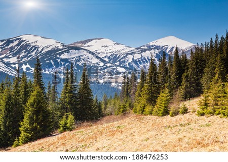 Fantastic sunny day is in mountain landscape. National park Chornogora. Carpathian, Ukraine, Europe. Beauty world