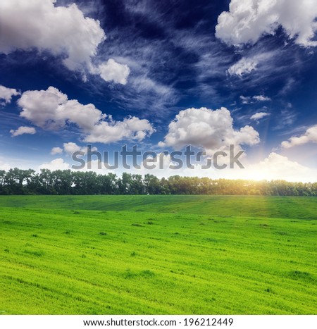 Beautiful sunny day in the field with blue sky. Overcast sky. Ukraine, Europe. Beauty world.