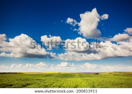 Beautiful sunny day in the field with white fluffy clouds. Overcast sky. Ukraine, Europe. Beauty world.