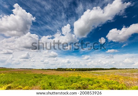 Beautiful sunny day in the field with fluffy clouds. Overcast sky. Ukraine, Europe. Beauty world.
