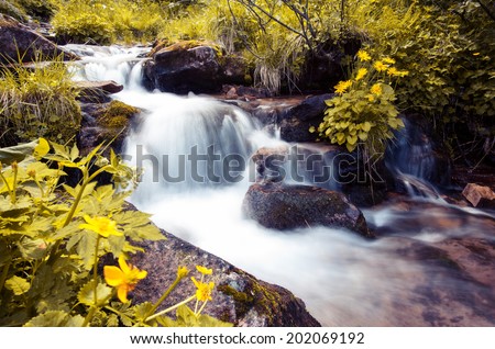 Waterfall in the middle of green forest. Carpathian, Ukraine, Europe. Beauty world.