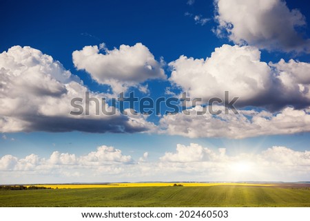 Beautiful sunny day in the field with white fluffy clouds. Overcast sky. Ukraine, Europe. Beauty world.