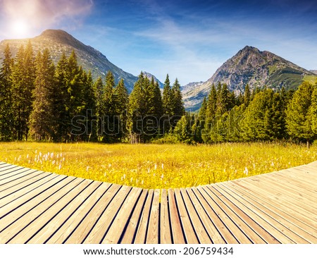 Fantastic mountain meadows in National Park High Tatra. Dramatic scenery. Strbske pleso, Slovakia, Europe. Beauty world. Creative collage.