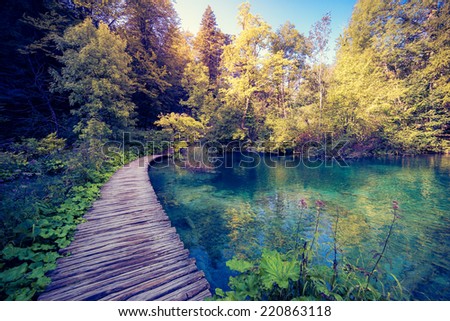 Majestic view on lake with turquoise water and sunny beams in Plitvice Lakes National Park. Forest glowing by sunlight. Croatia. Europe. Dramatic morning scene. Beauty world. Instagram effect.