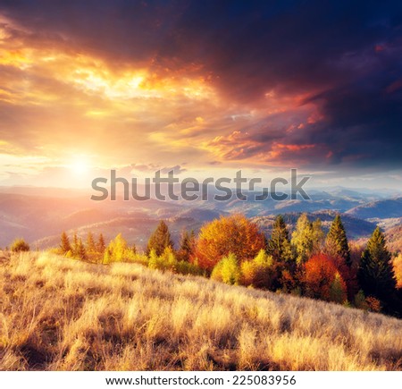 Majestic colorful landscape with sunny beams at mountain valley. Natural park. Dramatic morning scene. Red and yellow autumn leaves. Carpathians, Ukraine, Europe. Beauty world.