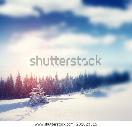 Beautiful winter panorama with snow covered trees. Retro style filter. Instagram toning effect. Tilt Shift blur effect.