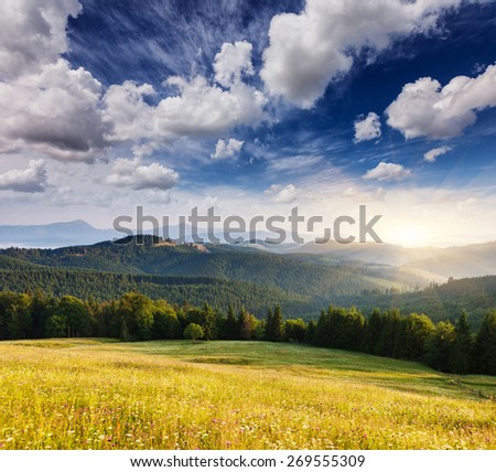 Fantastic sunny day is in mountain landscape. Carpathian, Ukraine, Europe. Beauty world.