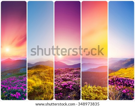 Creative collage of summer landscape with vertical photo. Location Carpathian, Ukraine, Europe. Beauty world. Instagram toning effect.