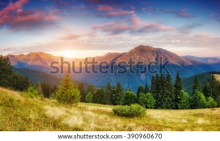 Picturesque view of the mountains that glow under sunlight. Dramatic morning  scene. Location place Carpathian national park, Ukraine, Europe. Artistic picture. Beauty world. Warm toning effect.