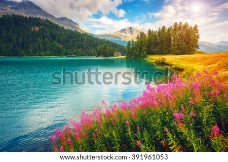 Fantastic view of the azure pond Champfer. Picturesque scene. Location: resort Silvaplana village, district of Maloja in the Swiss canton of Graubunden, Alps. Europe. Artistic picture. Beauty world.