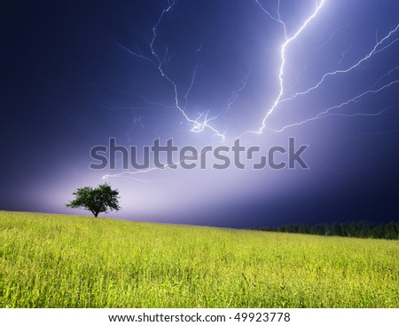 Stormy landscape with heavy clouds and the tree