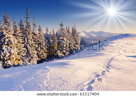 A frosty and sunny day is in mountains