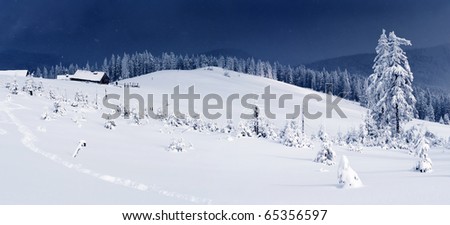 Trees covered with hoarfrost and snow in mountains. Mountain house