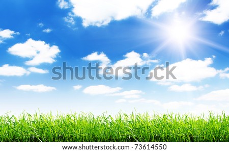 spring green field and beautiful blue sky