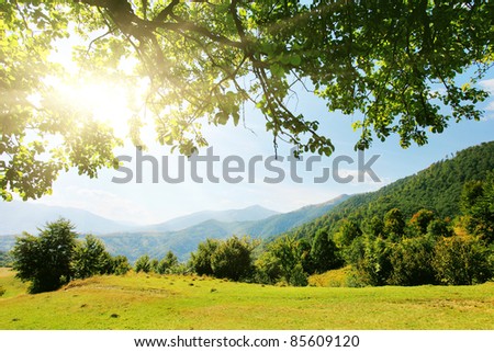 Majestic mountains landscape with fresh green leaves