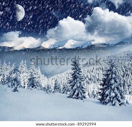 Beautiful winter landscape with snow covered trees.