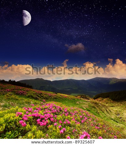 Magic pink rhododendron flowers under moon radiance