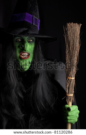 Wicked Witch Broom