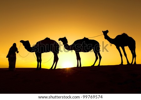 Young woman with her camel train, silhouette on sand dunes.