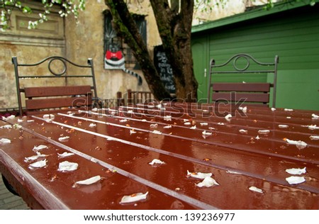 Row table with apple petals after storm in street cafe